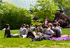 Students on Lawn