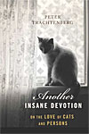 Another Insane Devotion Book Cover